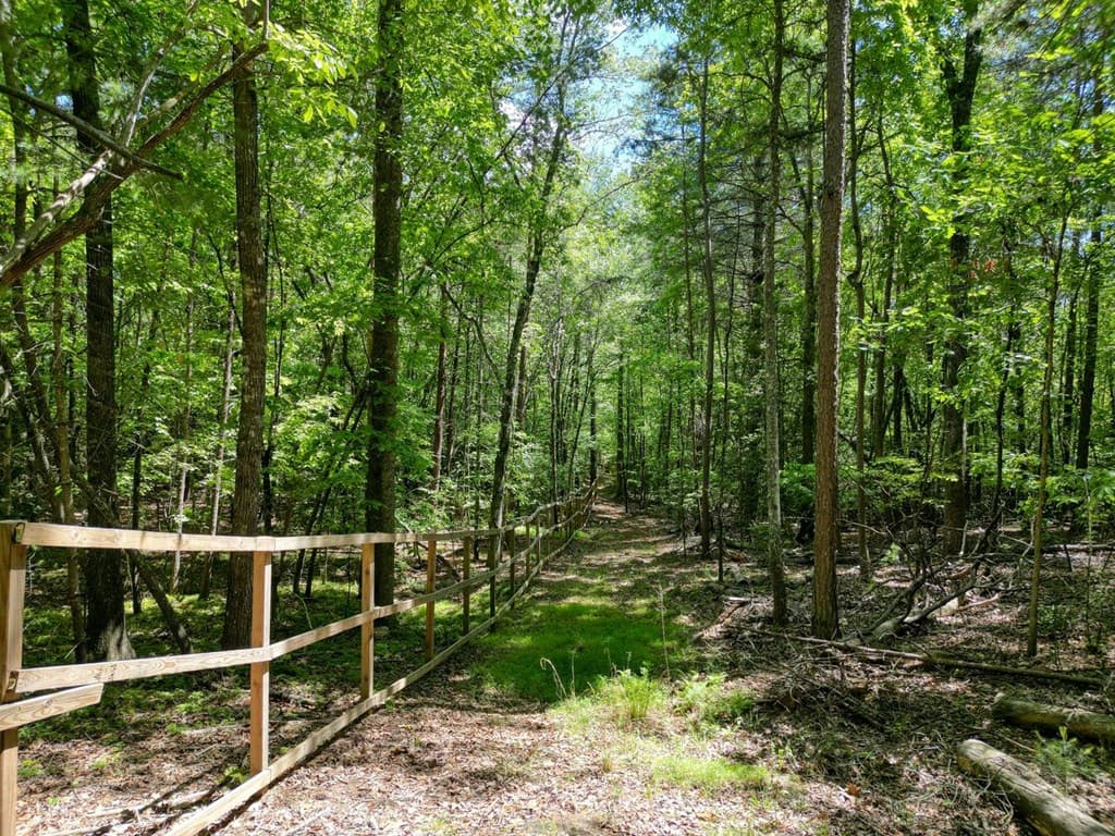 357 Nottely Woods Road E, Blairsville GA 30512 - Photo
