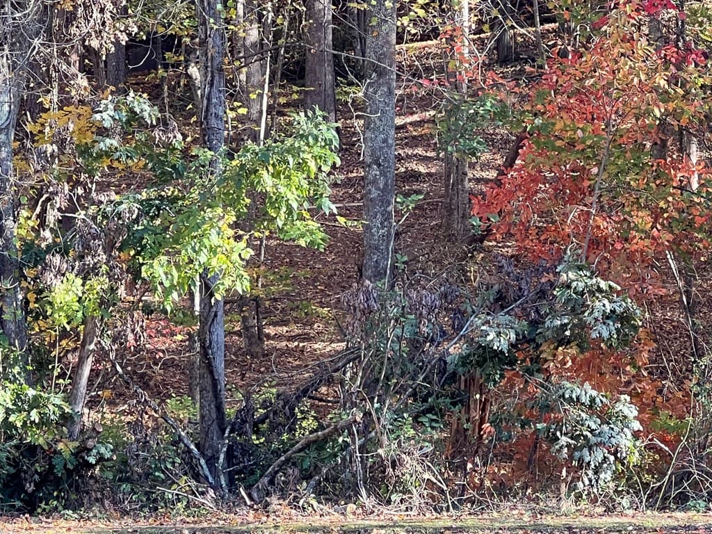 1 Bartin Ridge, Murphy NC 28906 - Photo