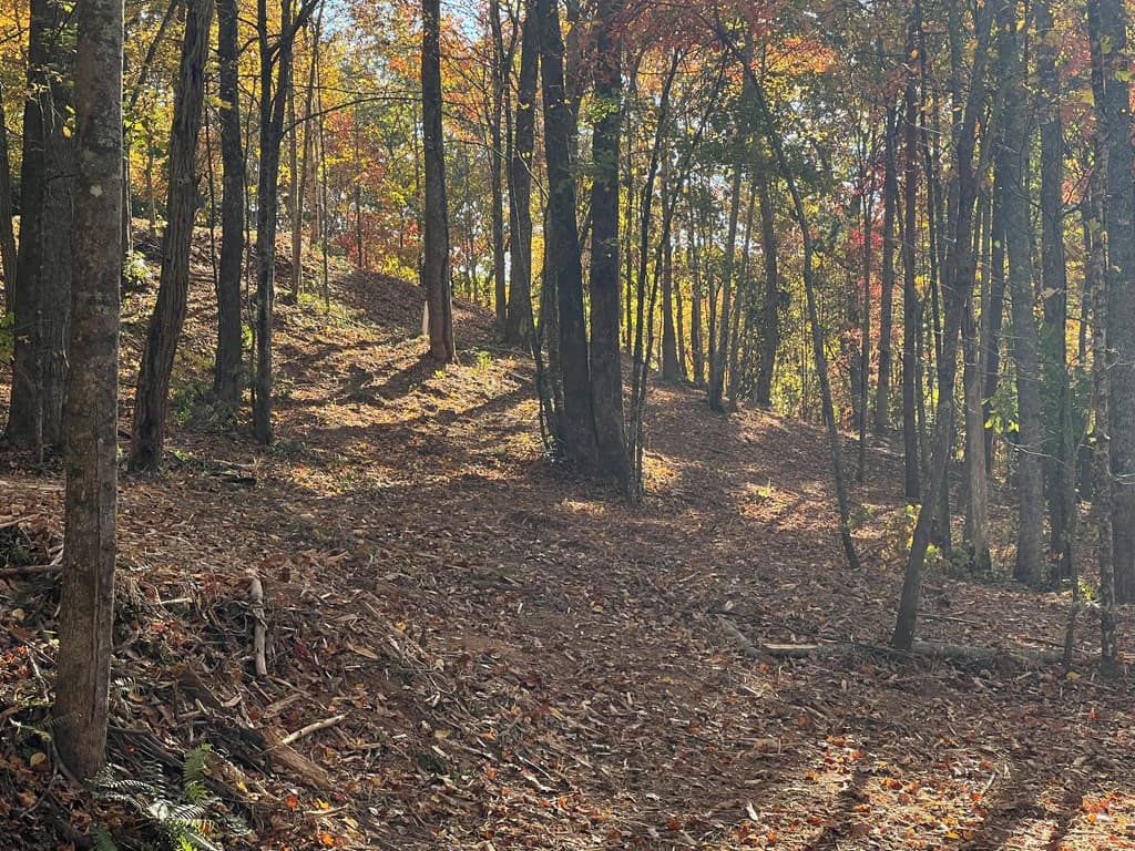 1 Bartin Ridge, Murphy NC 28906 - Photo