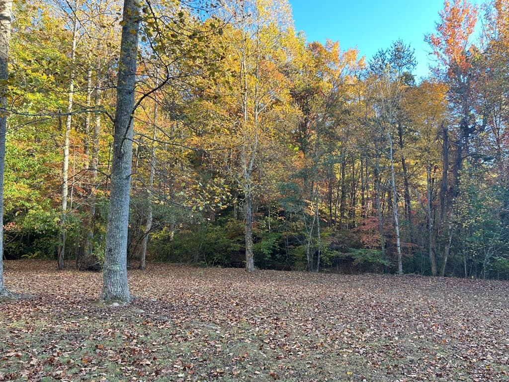 1 Bartin Ridge, Murphy NC 28906 - Photo