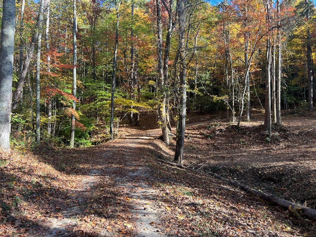 1 Bartin Ridge, Murphy NC 28906 - Photo