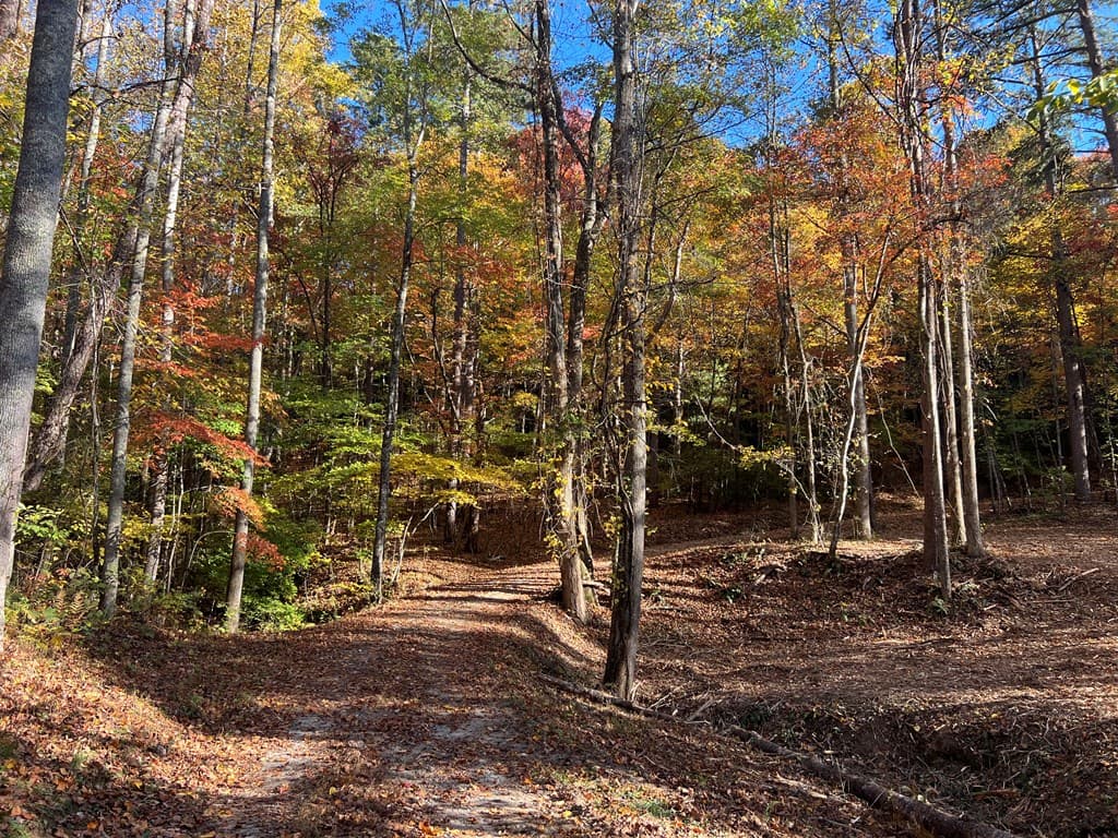 1 Bartin Ridge, Murphy NC 28906 - Photo