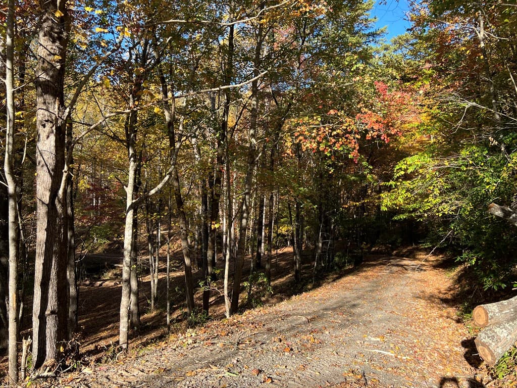 1 Bartin Ridge, Murphy NC 28906 - Photo