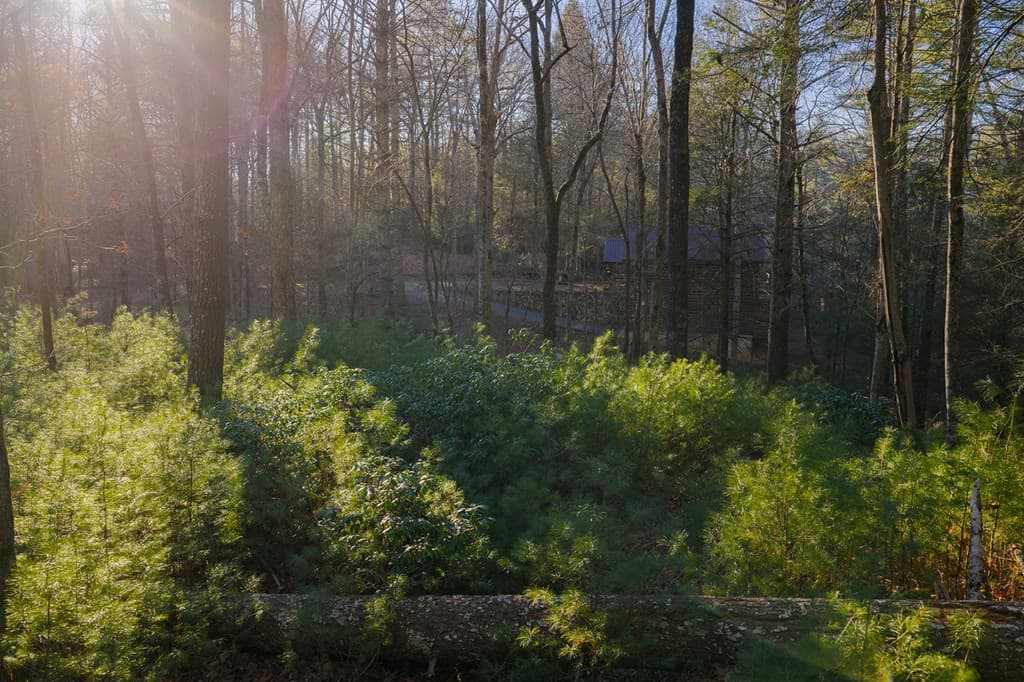 Lot 56 Riverbend Trail, Ellijay GA 30540 - Photo