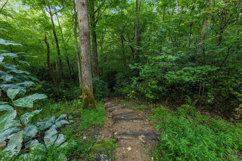 126 Brookwood Drive, Blue Ridge GA 30513 - Photo