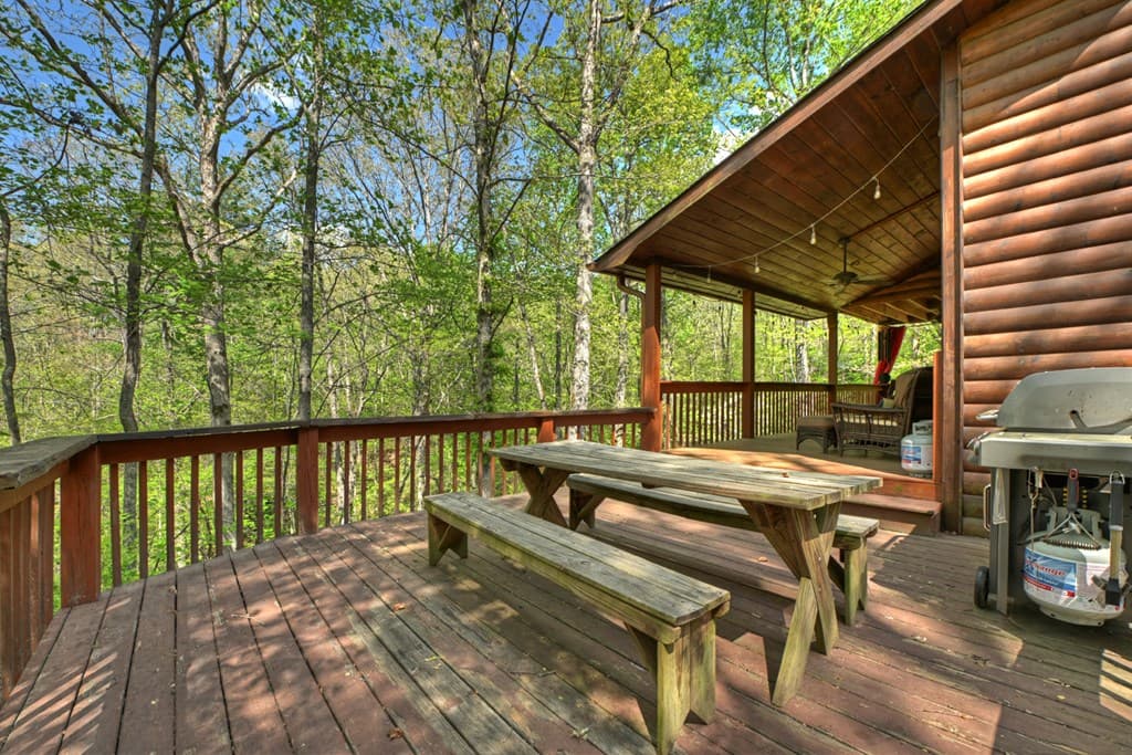 126 Brookwood Drive, Blue Ridge GA 30513 - Photo