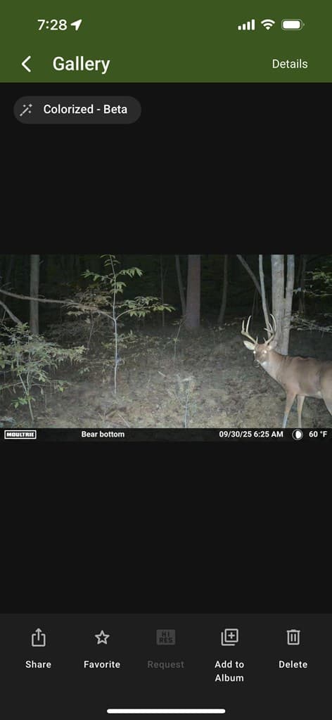 36.8 AC Pleasant Oak Trail, Ellijay GA 30540 - Photo