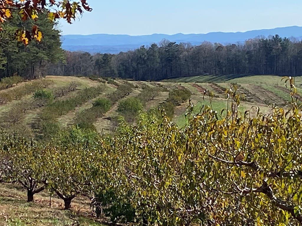 36.8 AC Pleasant Oak Trail, Ellijay GA 30540 - Photo