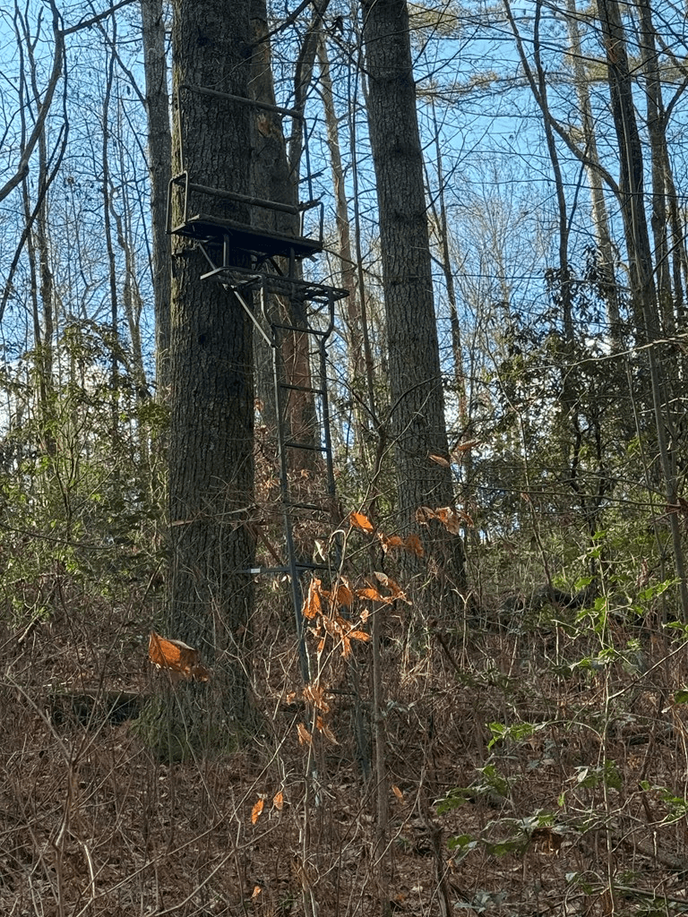 36.8 AC Pleasant Oak Trail, Ellijay GA 30540 - Photo