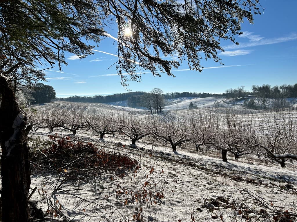 36.8 AC Pleasant Oak Trail, Ellijay GA 30540 - Photo