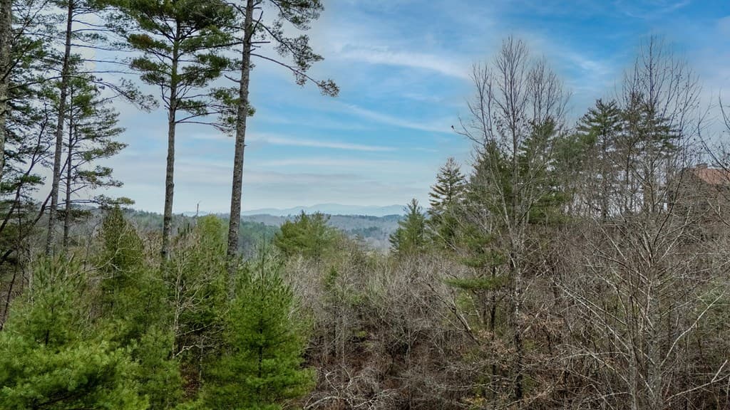 161 Walkabout Creek Road, Morganton GA 30560 - Photo