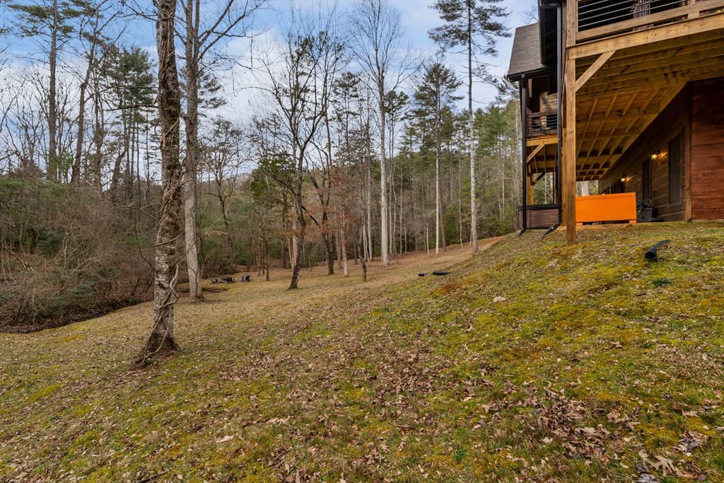 15 Bootleg Mountain Road, Morganton GA 30560 - Photo