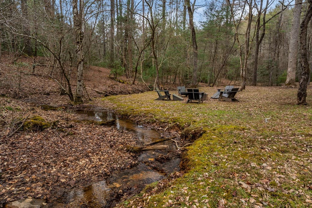 15 Bootleg Mountain Road, Morganton GA 30560 - Photo