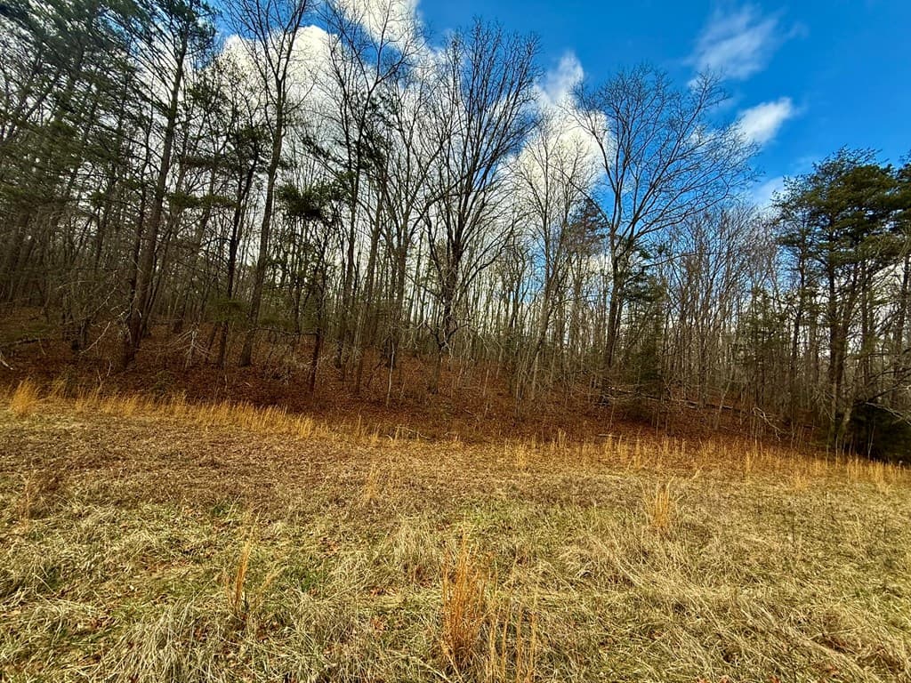 0 Cedar Springs Road, Turtletown TN 37391 - Photo