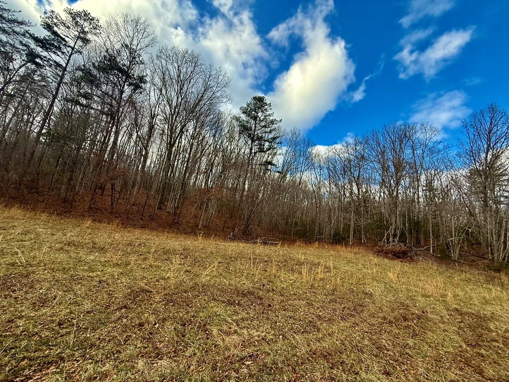 0 Cedar Springs Road, Turtletown TN 37391 - Photo