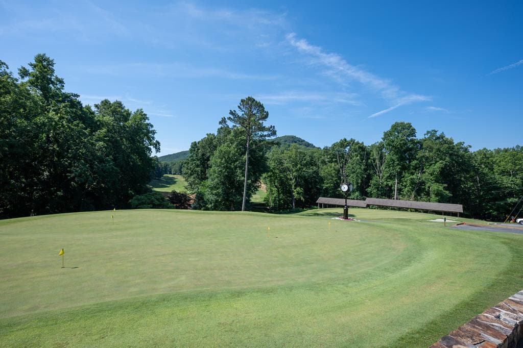 245 Sassafras Mountain Trail, Jasper GA 30143 - Photo