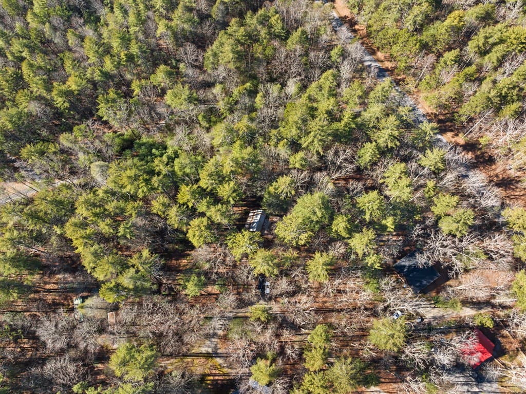 104 Big Tree Road, Suches GA 30572 - Photo