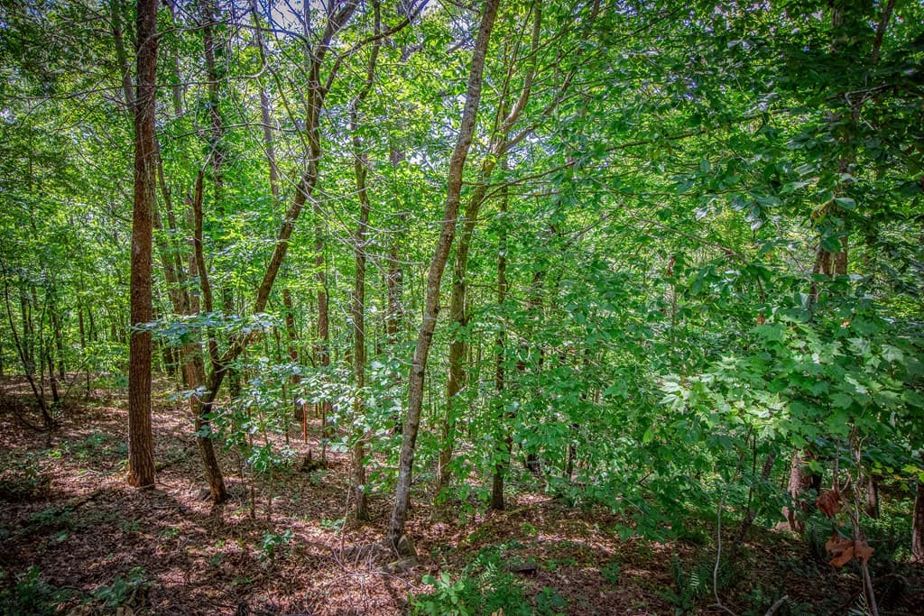Lot 103R Mountain Creek Hollow Drive, Talking Rock GA 30175 - Photo