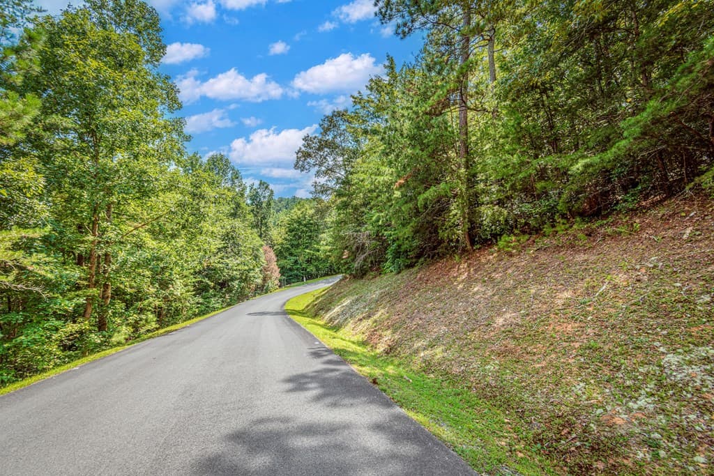 4.7AC Mountain Creek Hollow Drive, Talking Rock GA 30175 - Photo