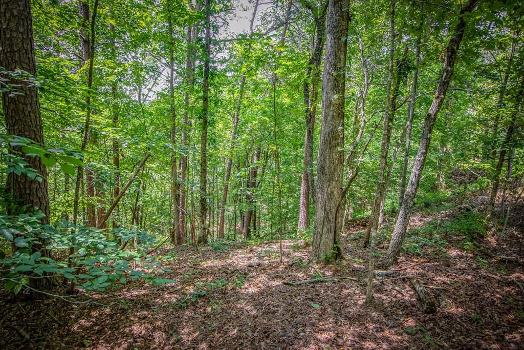 4.7AC Mountain Creek Hollow Drive, Talking Rock GA 30175 - Photo