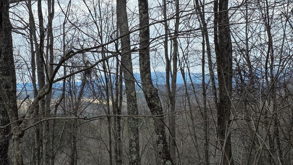 35AC Ducks Nest Road, Turtletown TN 37391 - Photo