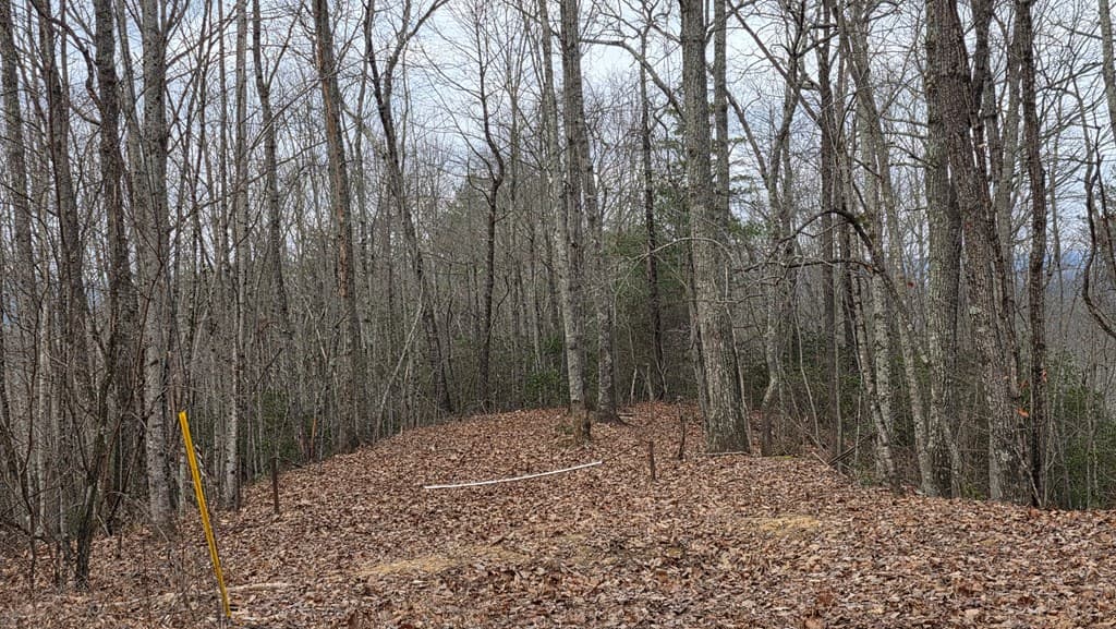 35AC Ducks Nest Road, Turtletown TN 37391 - Photo