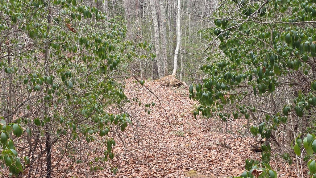 35AC Ducks Nest Road, Turtletown TN 37391 - Photo