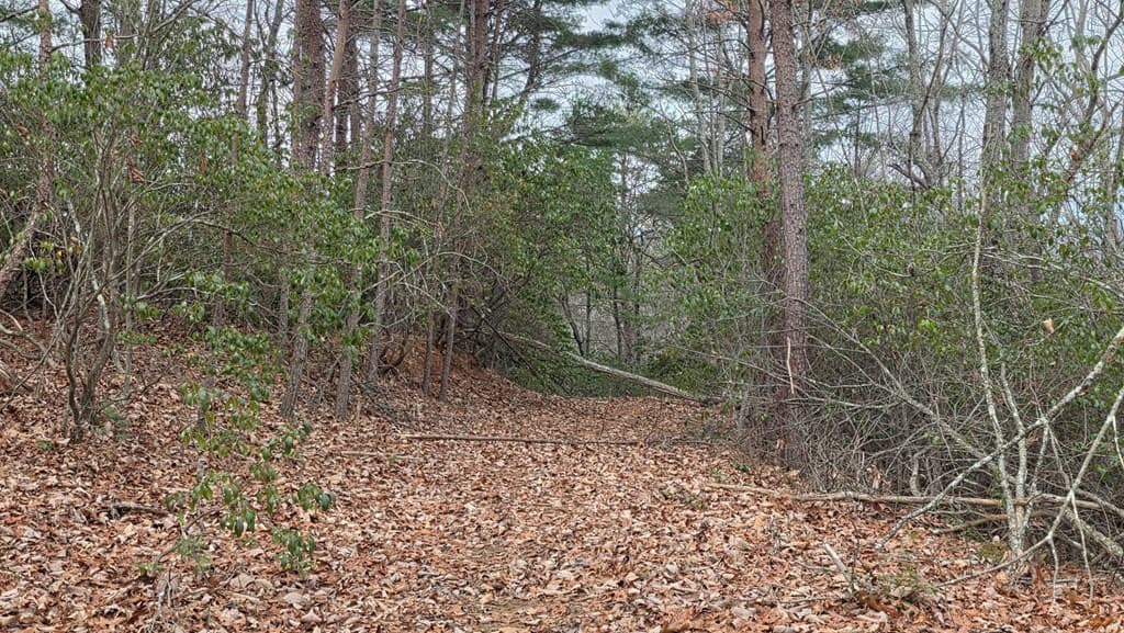 35AC Ducks Nest Road, Turtletown TN 37391 - Photo