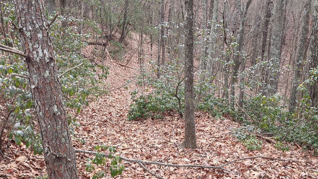 35AC Ducks Nest Road, Turtletown TN 37391 - Photo