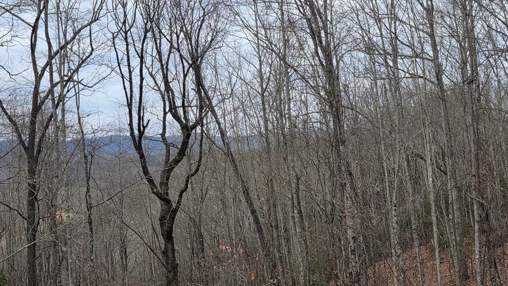 35AC Ducks Nest Road, Turtletown TN 37391 - Photo