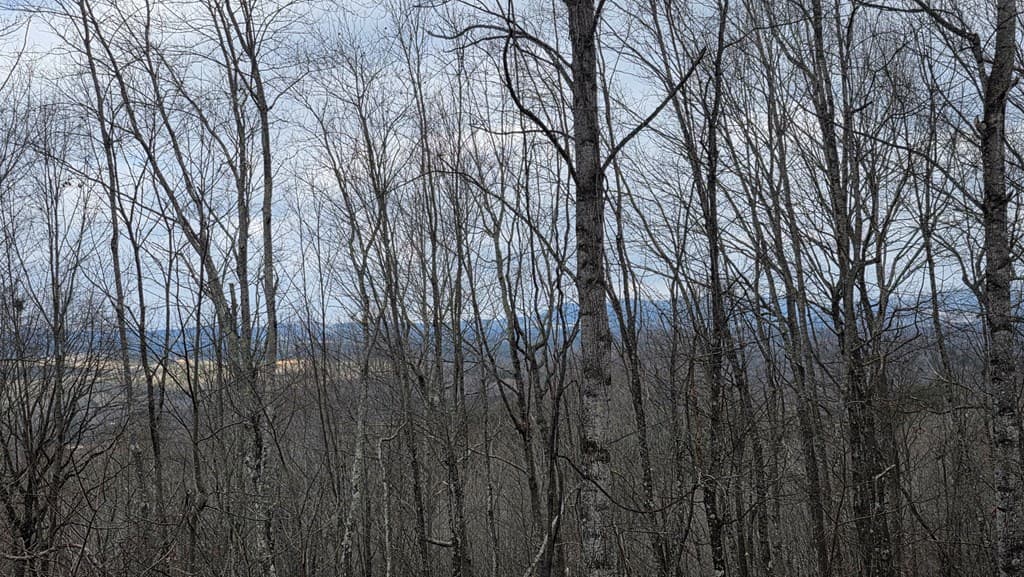 35AC Ducks Nest Road, Turtletown TN 37391 - Photo