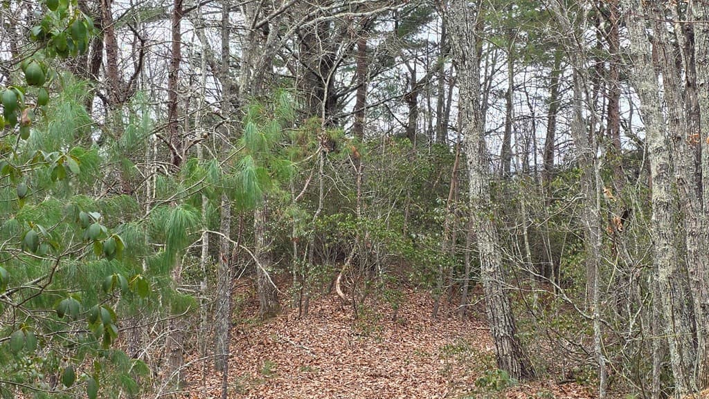 35AC Ducks Nest Road, Turtletown TN 37391 - Photo