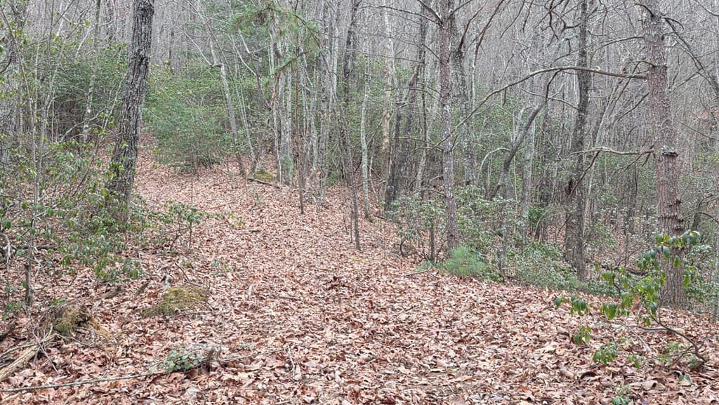 35AC Ducks Nest Road, Turtletown TN 37391 - Photo