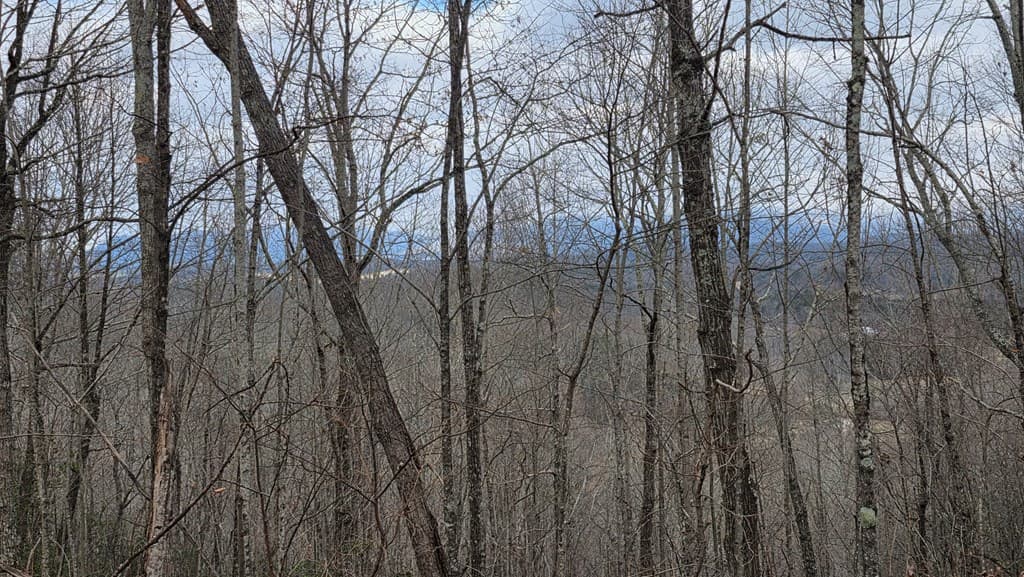 35AC Ducks Nest Road, Turtletown TN 37391 - Photo