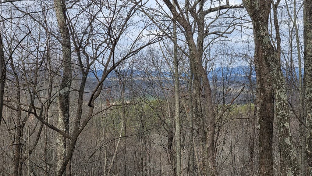 35AC Ducks Nest Road, Turtletown TN 37391 - Photo