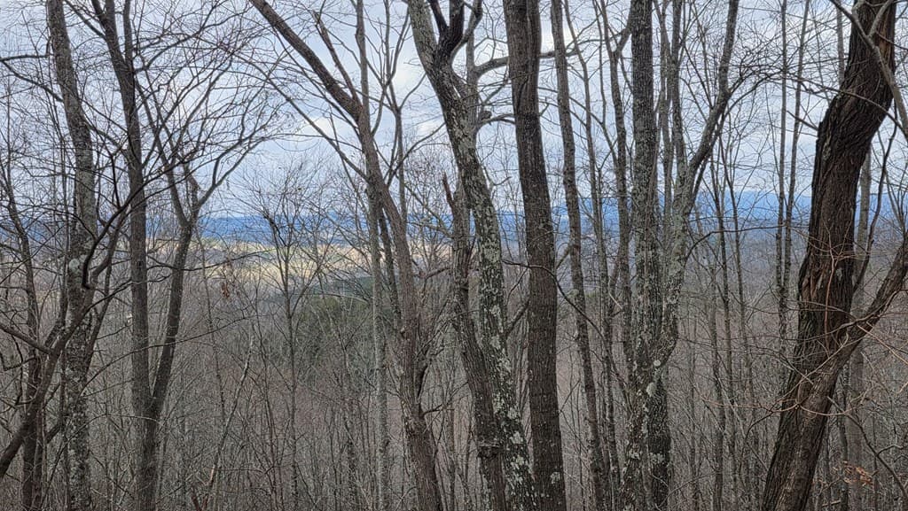 35AC Ducks Nest Road, Turtletown TN 37391 - Photo