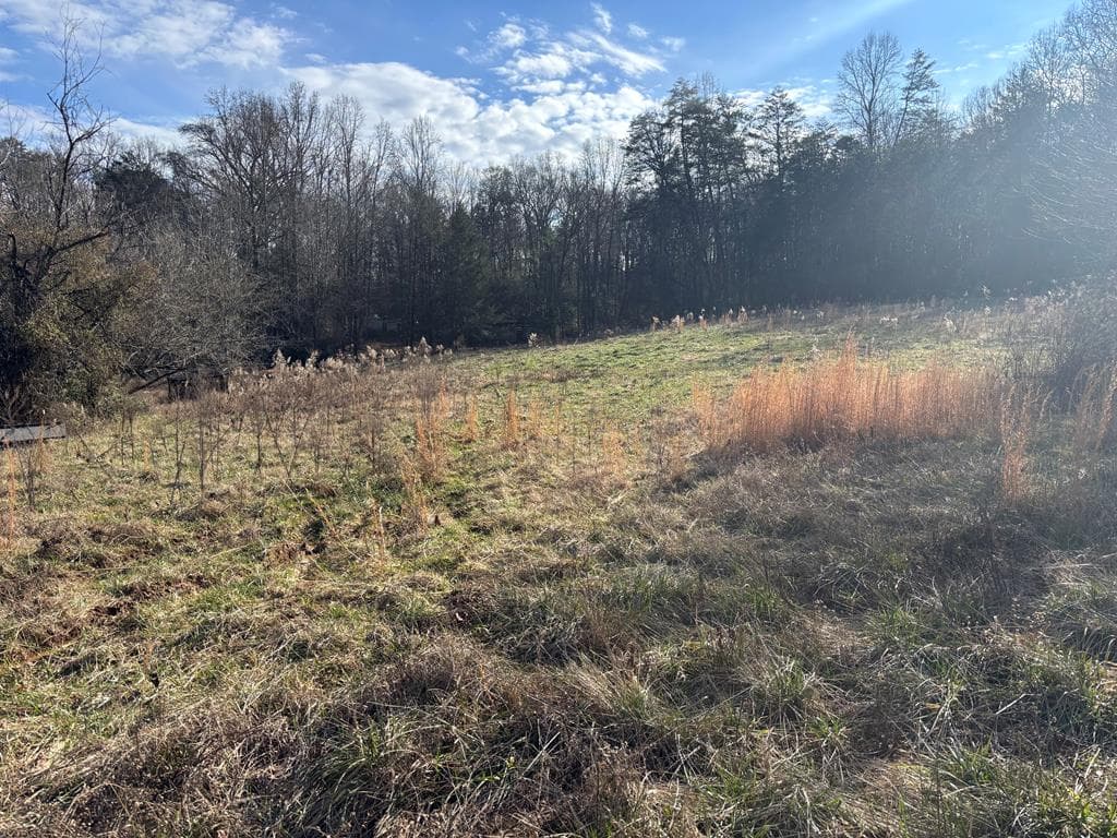 22 Old Bullen Gap Road, Blue Ridge GA 30513 - Photo