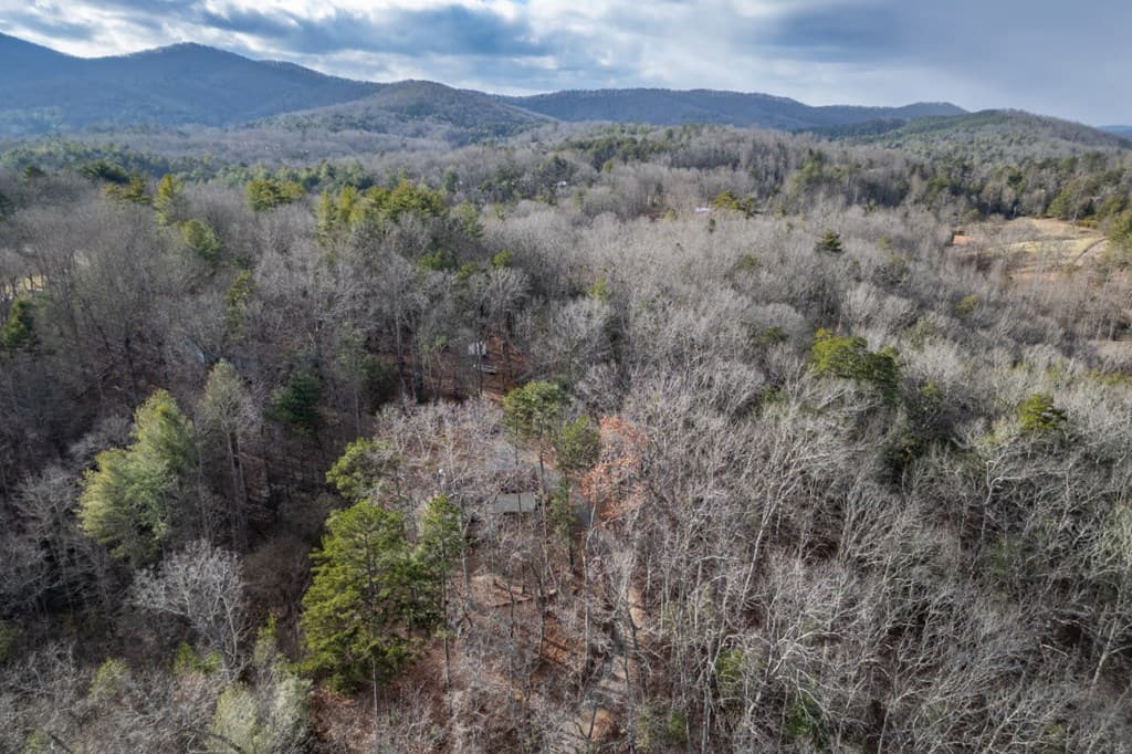 411 Sharing Lane, Murphy NC 28906 - Photo