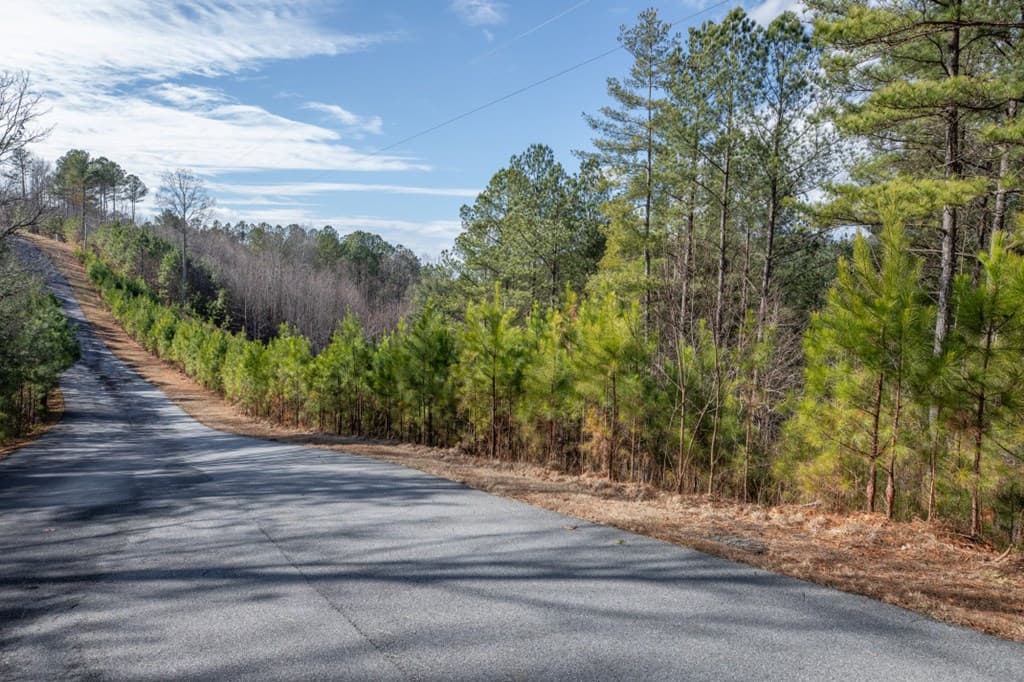 Lot 74 Thirteen Hundred, Blairsville GA 30512 - Photo
