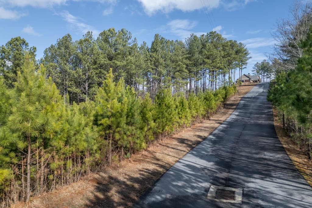 Lot 74 Thirteen Hundred, Blairsville GA 30512 - Photo