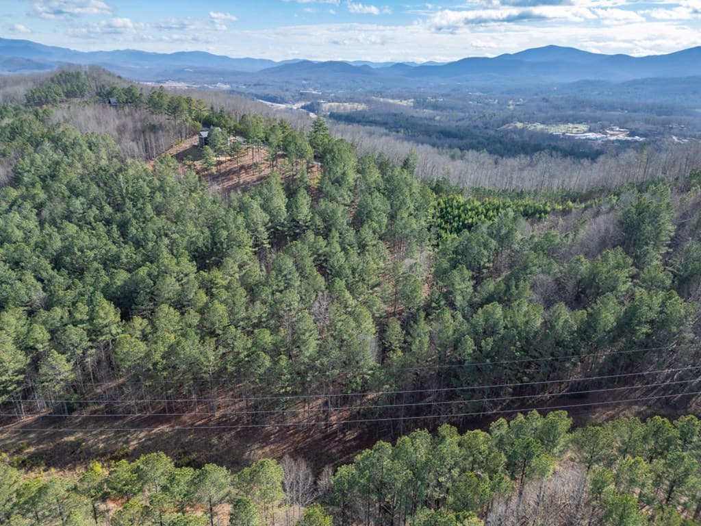 Lot 74 Thirteen Hundred, Blairsville GA 30512 - Photo