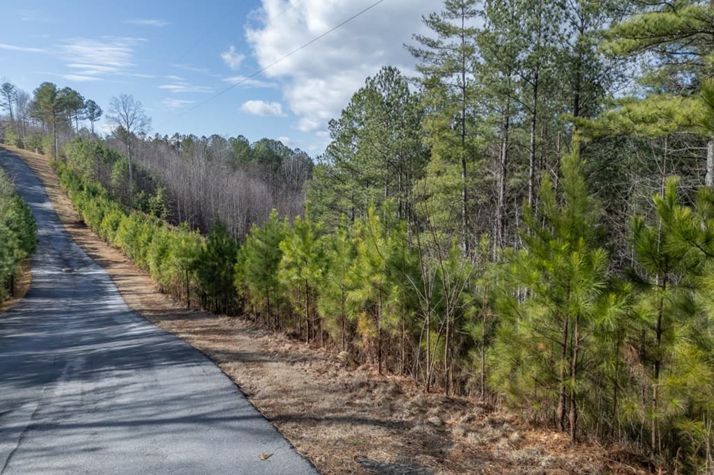 Lot 74 Thirteen Hundred, Blairsville GA 30512 - Photo