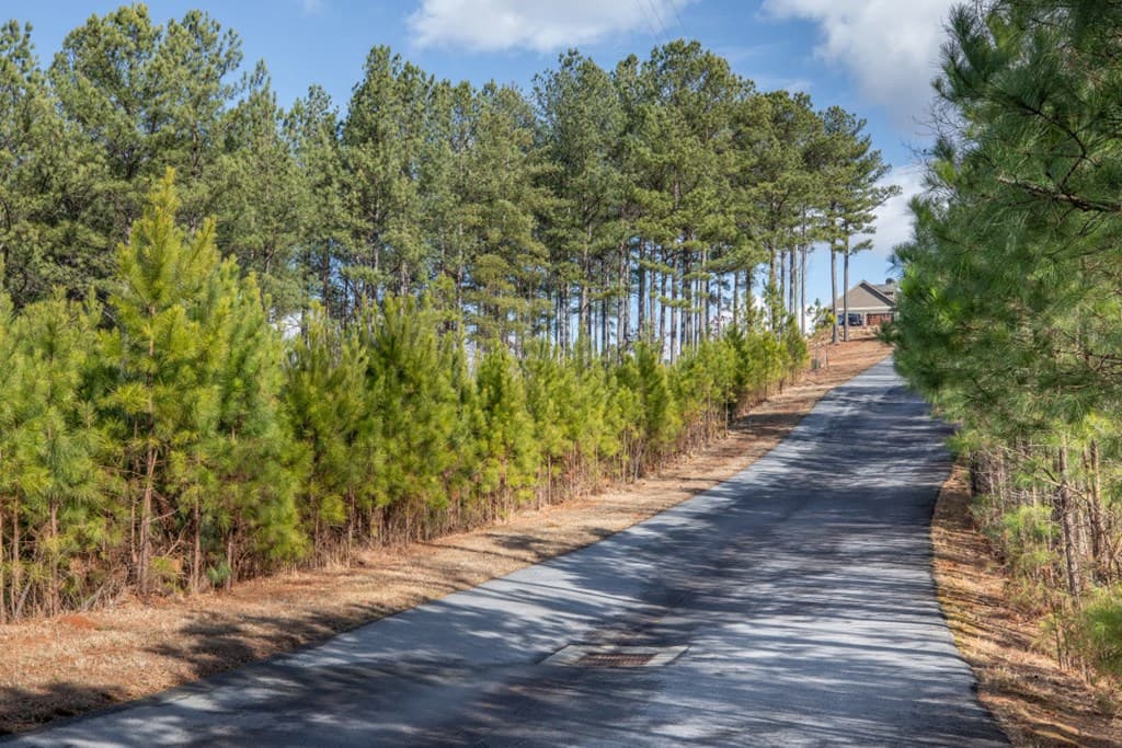 Lot 74 Thirteen Hundred, Blairsville GA 30512 - Photo