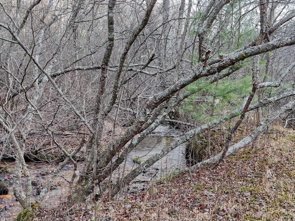 476 Rainbow Road, Suches GA 30572 - Photo
