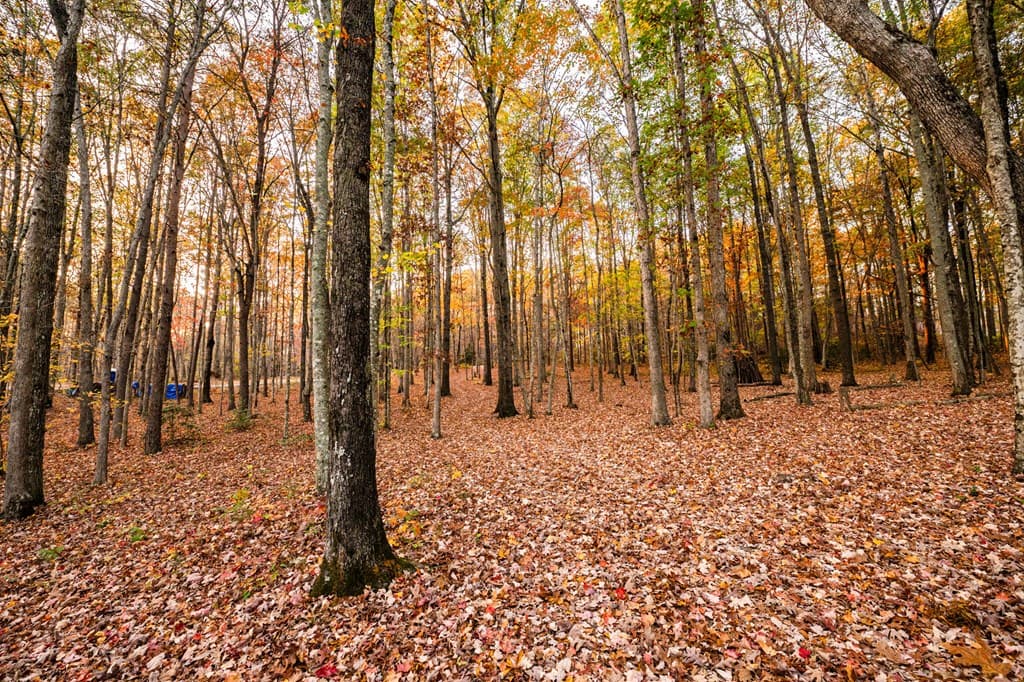 2272 Little Bend Rd, Signal Mountain TN 37377 - Photo