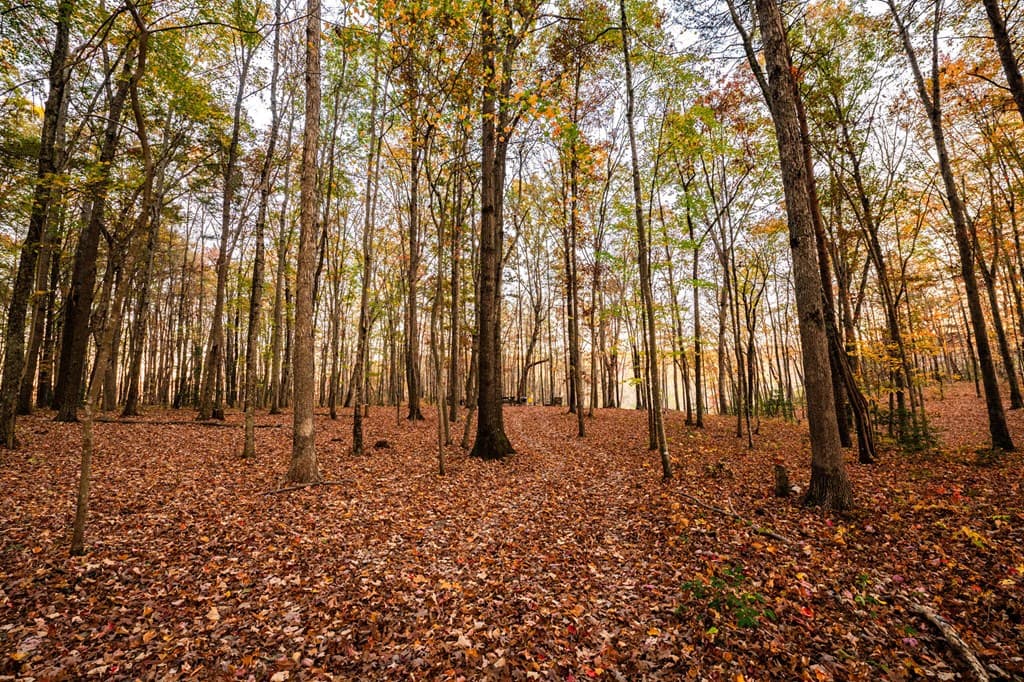 2272 Little Bend Rd, Signal Mountain TN 37377 - Photo