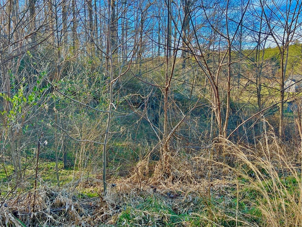 16 Anns Way, Blairsville GA 30512 - Photo