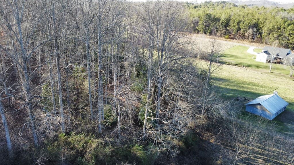 16 Anns Way, Blairsville GA 30512 - Photo
