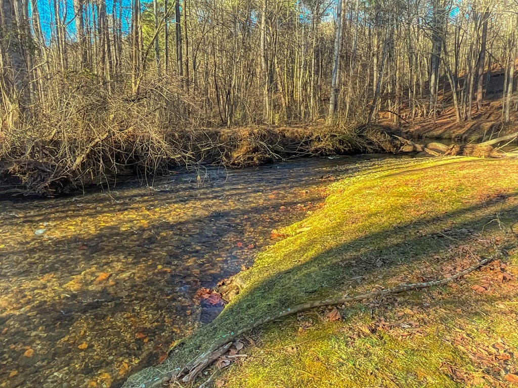 188 Clear Creek Valley Drive, Ellijay GA 30536 - Photo