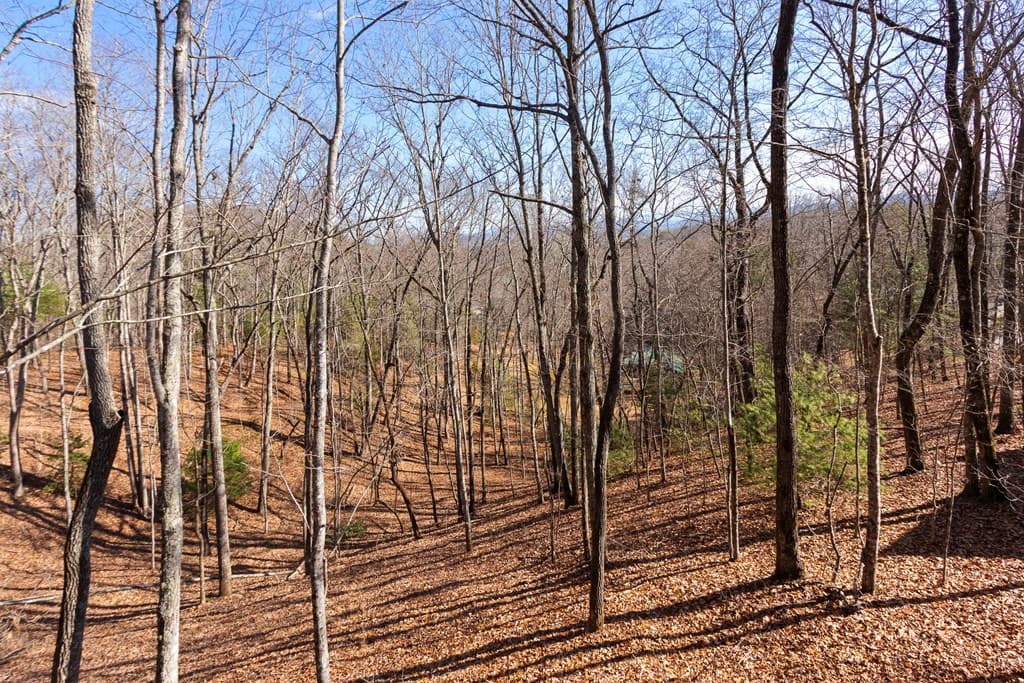 87 Tuscarora Trail, Murphy NC 28906 - Photo
